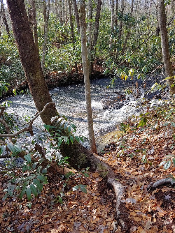 Waterfall Wonders: Frolictown Falls - Frolictown Falls