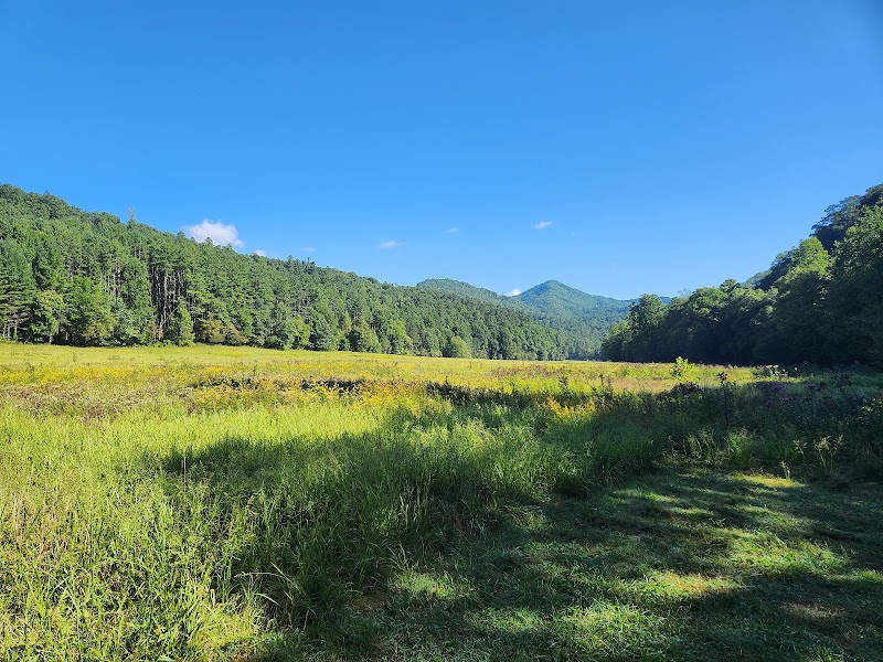 Nature's Pathway: Rough Fork Trailhead - Rough Fork Trailhead