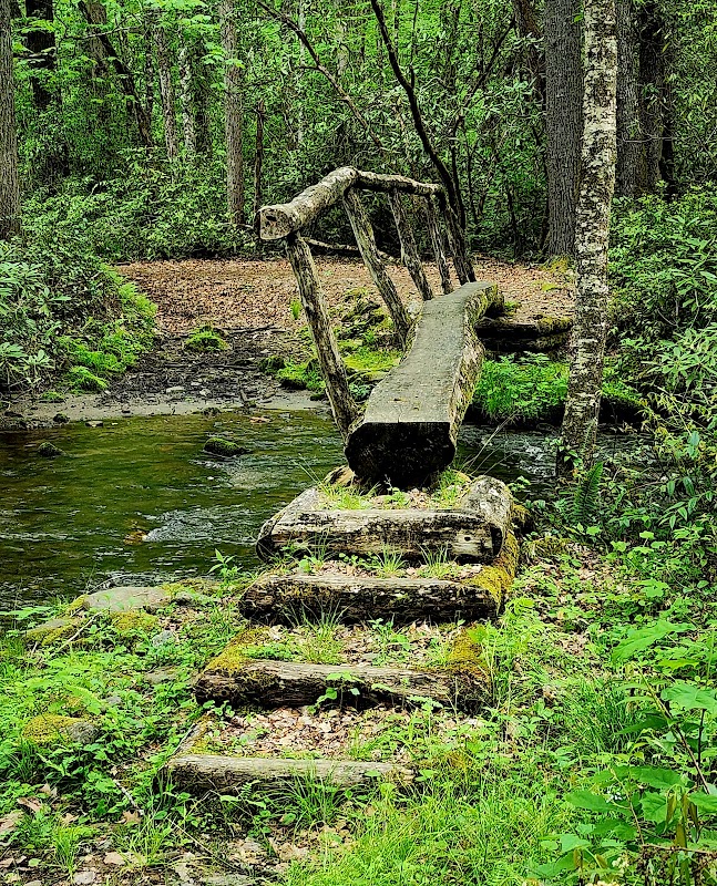 Nature's Pathway: Rough Fork Trailhead - Rough Fork Trailhead