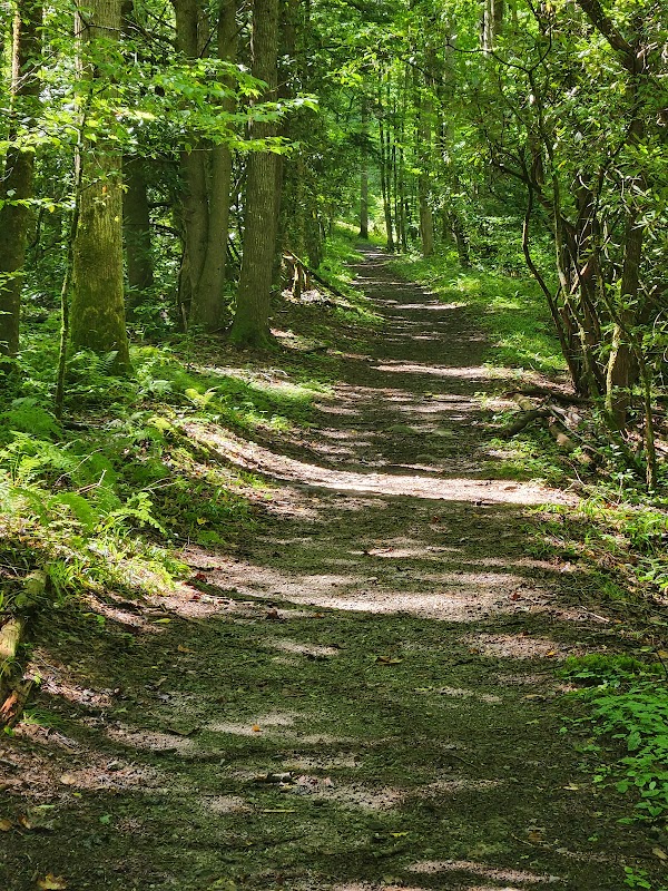 Nature's Pathway: Rough Fork Trailhead - Rough Fork Trailhead