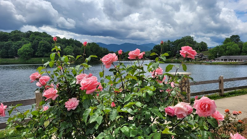 Rose Walk, Lake Junaluska - A Blooming Paradise - Rose Walk