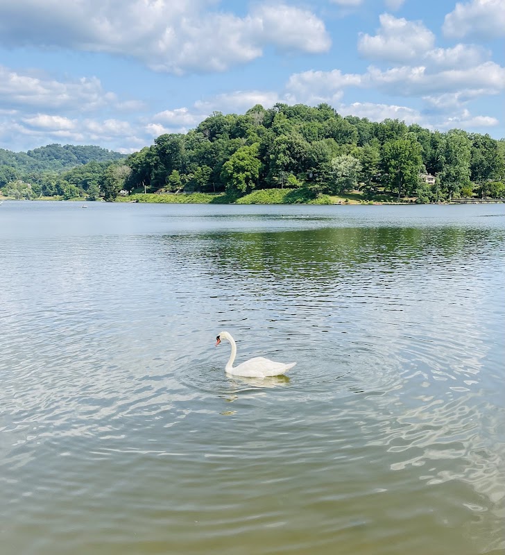 Rose Walk, Lake Junaluska - A Blooming Paradise - Rose Walk