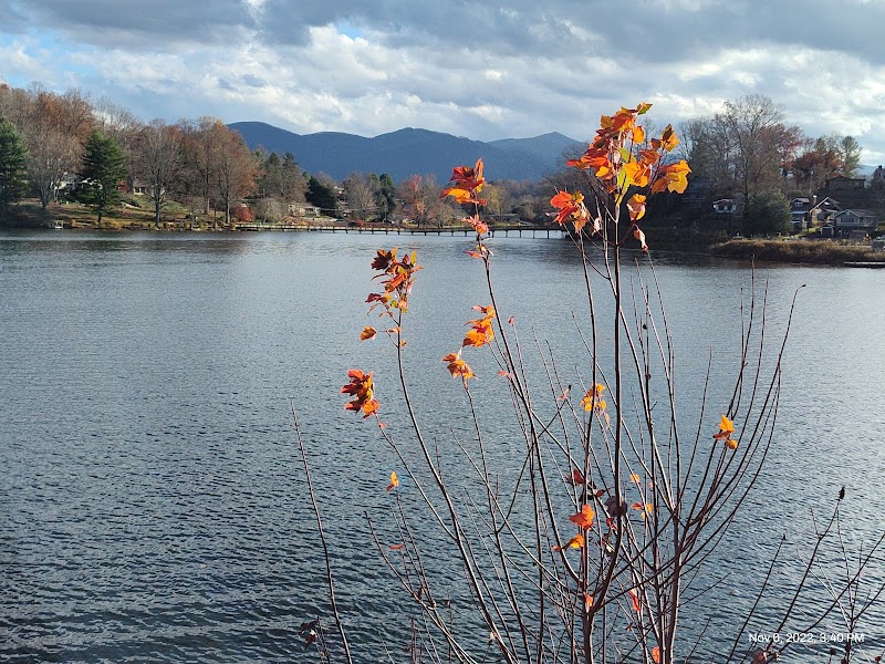 Rose Walk, Lake Junaluska - A Blooming Paradise - Rose Walk