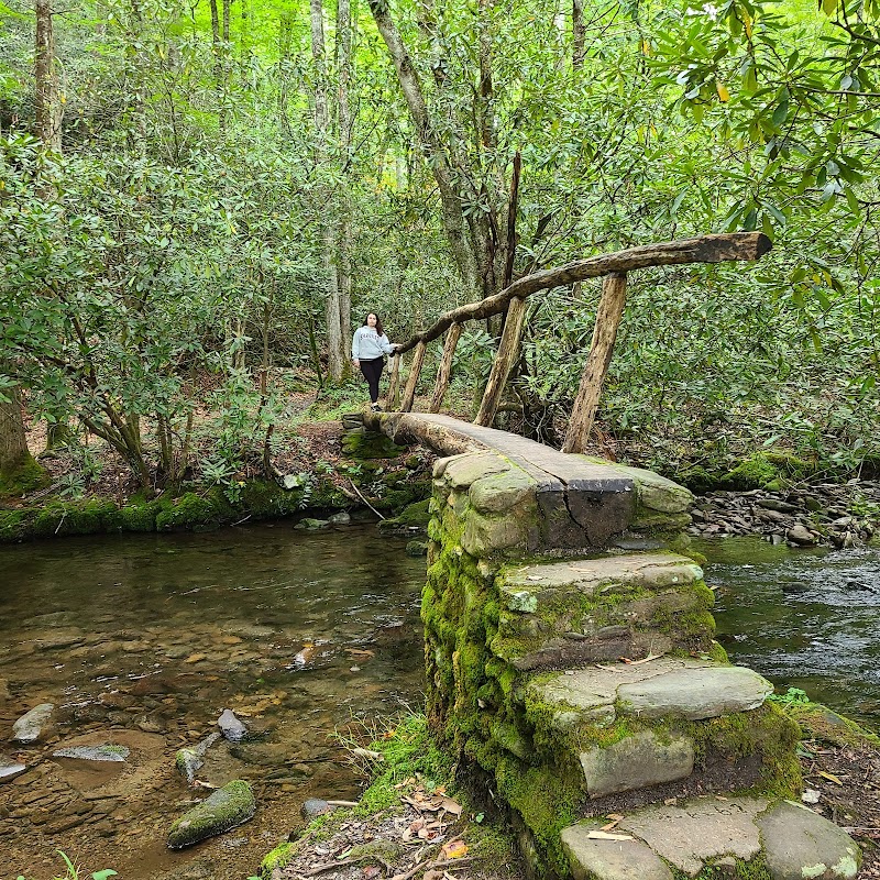 Exploring Big Fork Ridge Trailhead in Western North Carolina - Big Fork Ridge Trailhead