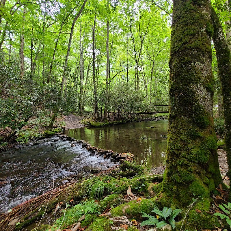 Exploring Big Fork Ridge Trailhead in Western North Carolina - Big Fork Ridge Trailhead