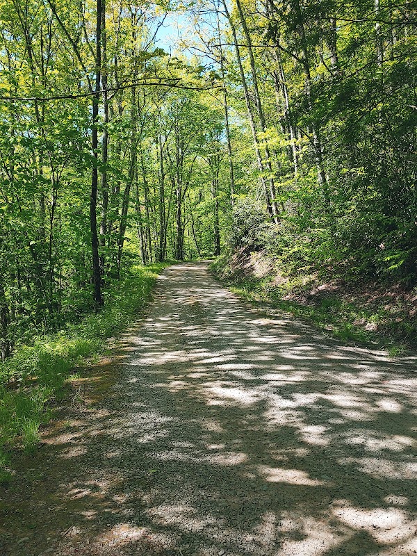 Hiking at Palmer Creek Trailhead - Palmer Creek Trailhead