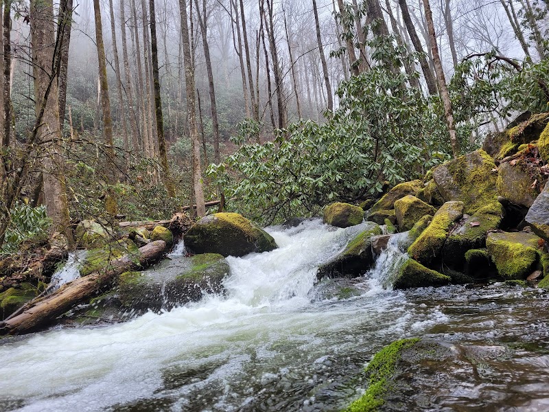 The Enchanting Chestnut Branch Trailhead in Waynesville - Chestnut Branch Trailhead
