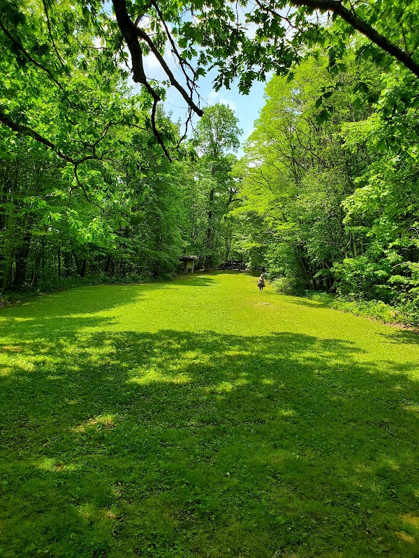 Discovering Wilson Lick: A Historical Nature Retreat surrounding landscape