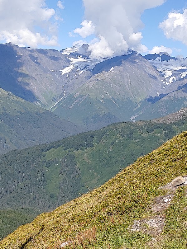 Majestic Trails of Girdwood: North Face Trail - North Face Trail