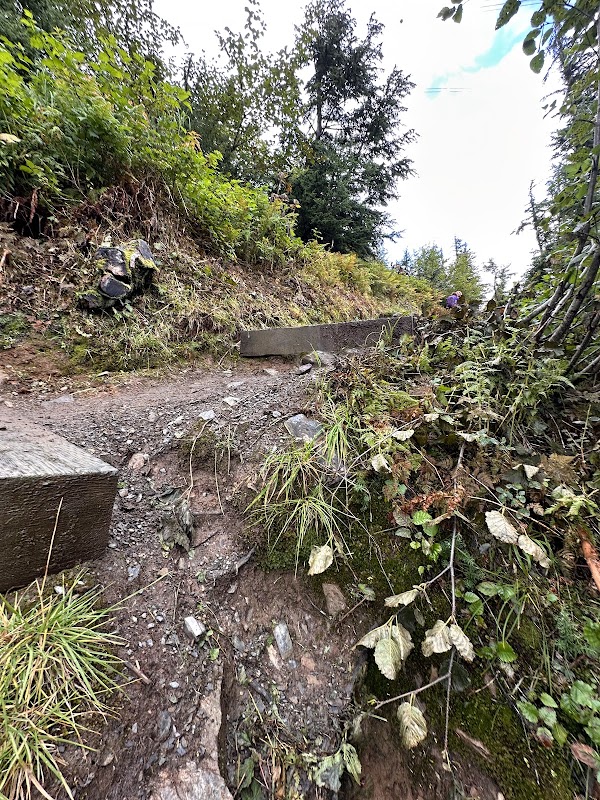 Majestic Trails of Girdwood: North Face Trail - North Face Trail
