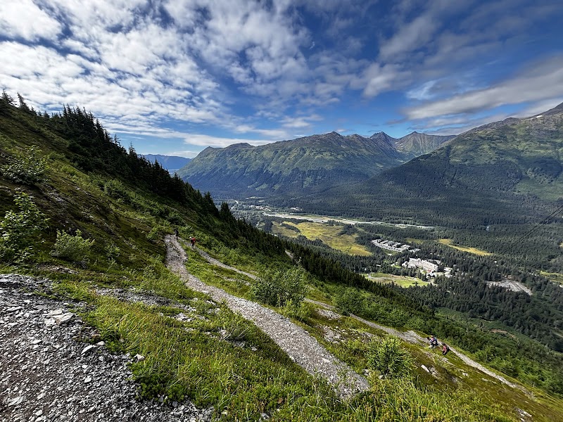 Majestic Trails of Girdwood: North Face Trail - North Face Trail