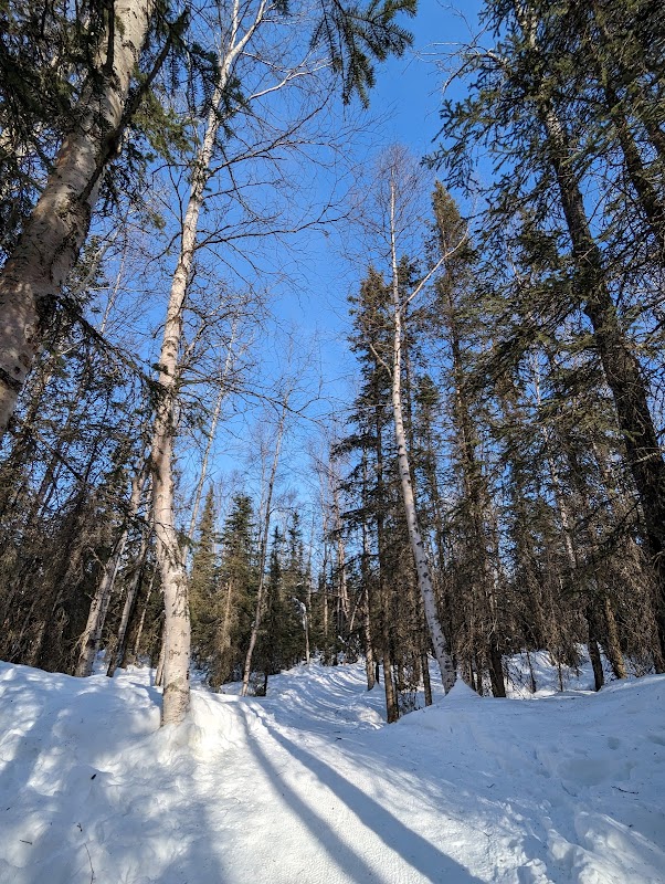 Gentle Trails: Discover Smokejumper Trailhead in Anchorage, AK - Smokejumper Trailhead