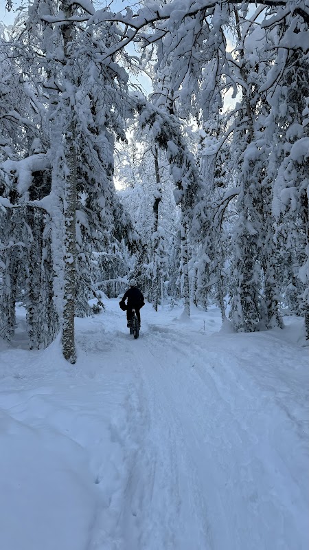 Gentle Trails: Discover Smokejumper Trailhead in Anchorage, AK - Smokejumper Trailhead