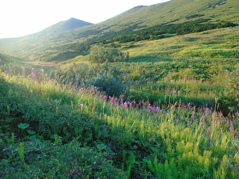 Hiking Through Nature's Beauty: Williwaw Lakes Trail - Williwaw Lakes Trail