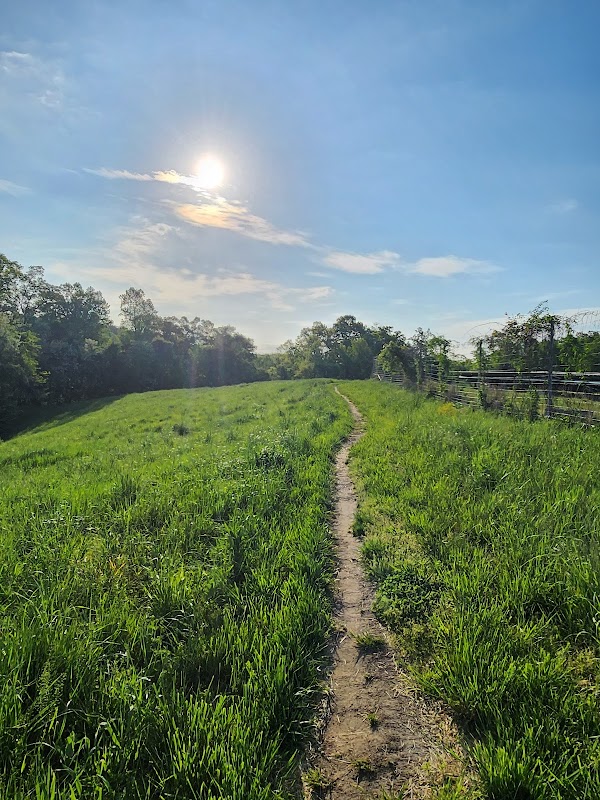 Annapolis Waterworks Park: A Scenic Oasis surrounding landscape