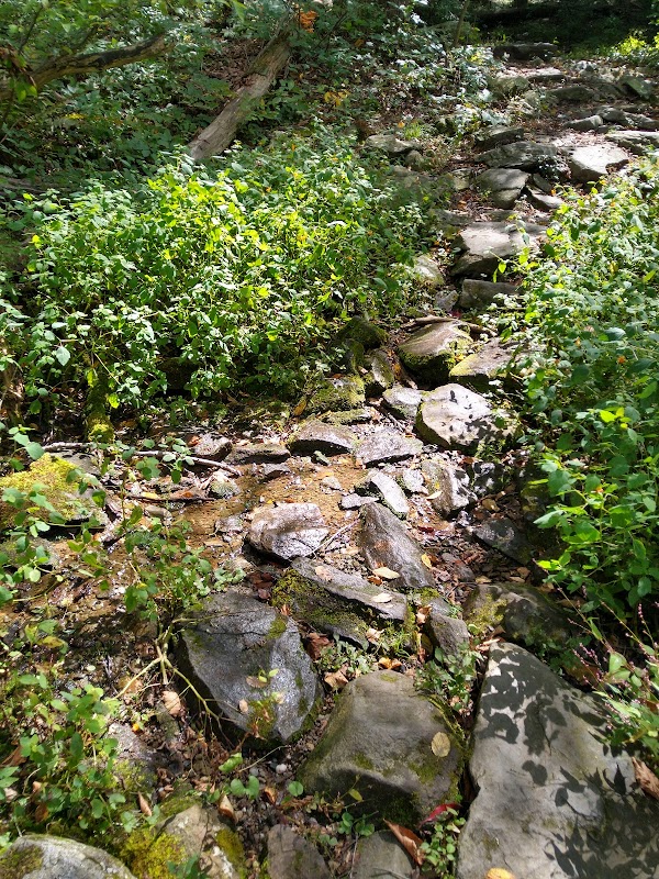 Panoramic Peaks: Annapolis Rock & Black Rock Cliff outdoor detail