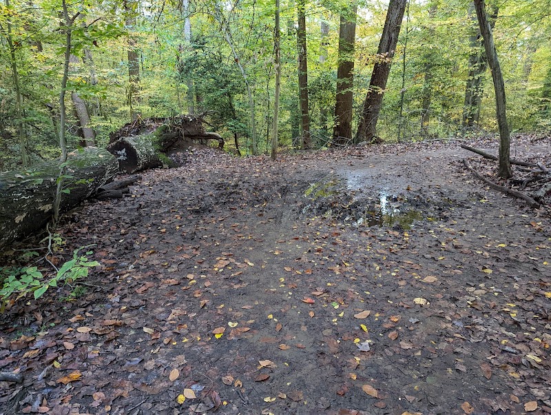 Discovering Bacon Ridge: A Natural Escape in Annapolis outdoor detail