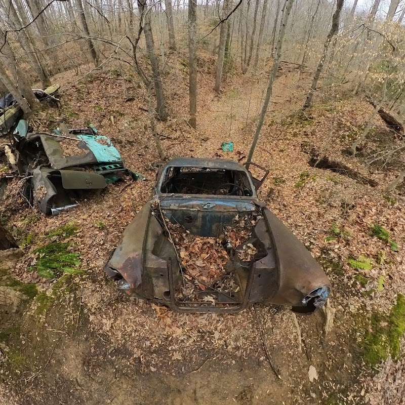 Discovering Bacon Ridge: A Natural Escape in Annapolis surrounding landscape