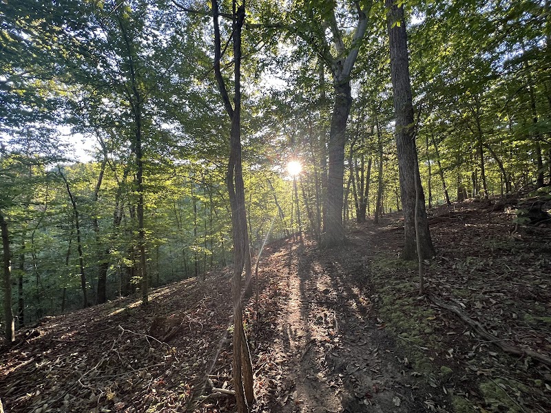 The Green Refuge: Annapolis Waterworks Trail - Annapolis Waterworks Trail - Housley Rd Trailhead