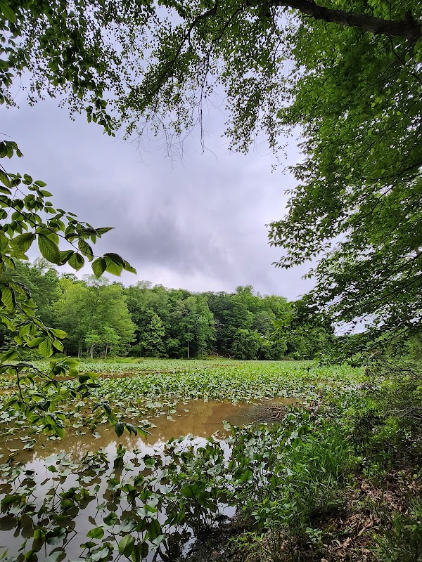 The Green Refuge: Annapolis Waterworks Trail - Annapolis Waterworks Trail - Housley Rd Trailhead