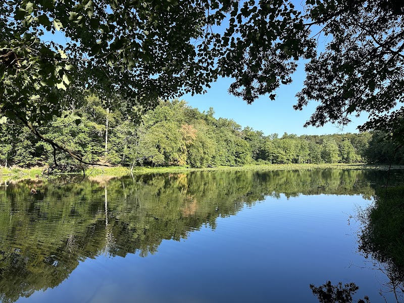 The Green Refuge: Annapolis Waterworks Trail surrounding landscape