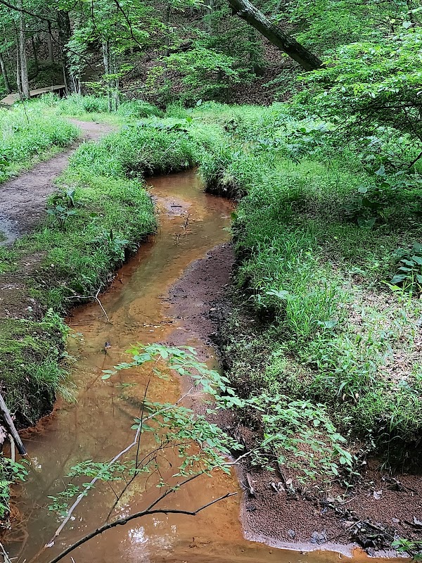 The Green Refuge: Annapolis Waterworks Trail - Annapolis Waterworks Trail - Housley Rd Trailhead