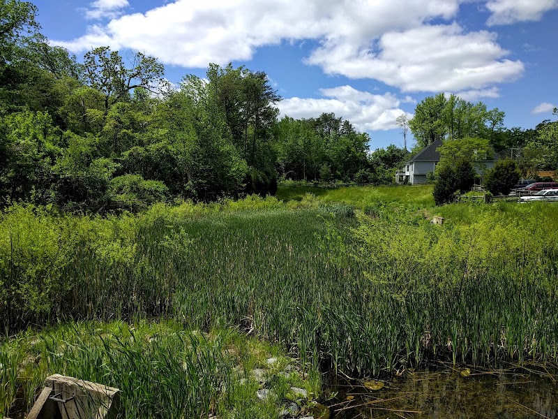 Biking Bliss on the Baltimore and Annapolis Trail surrounding landscape