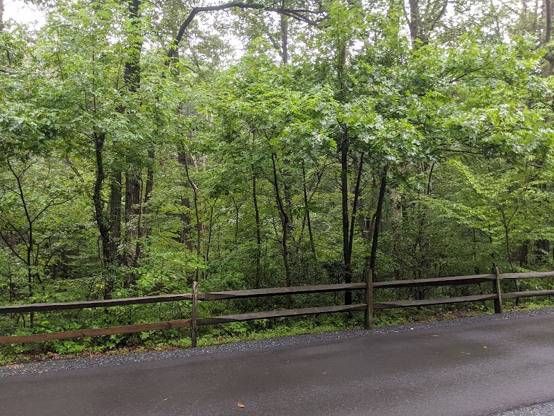 Biking Bliss on the Baltimore and Annapolis Trail outdoor detail