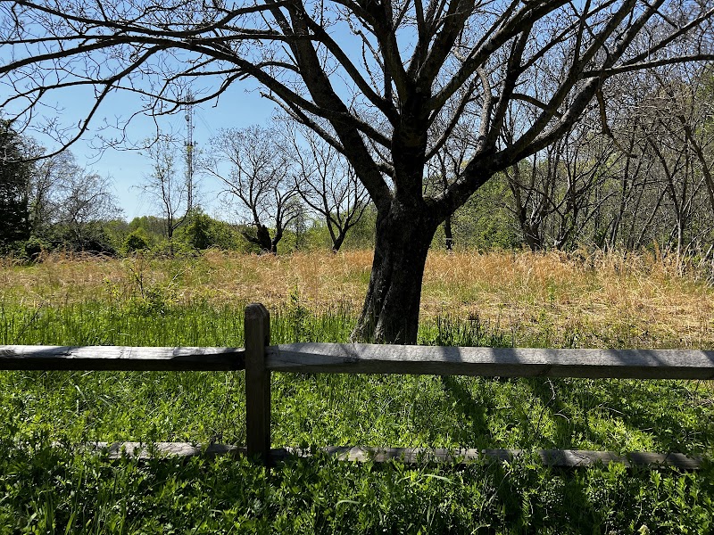Discover the Natural Beauty of Crownsville surrounding landscape