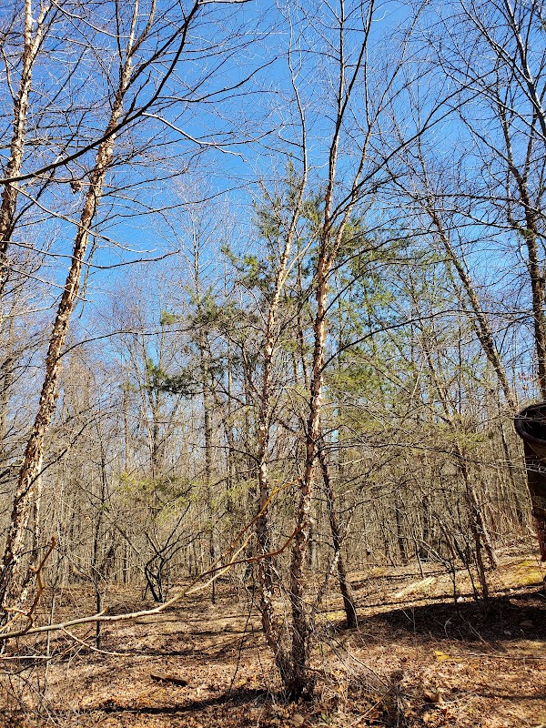 Discover the WB&A Trail surrounding landscape