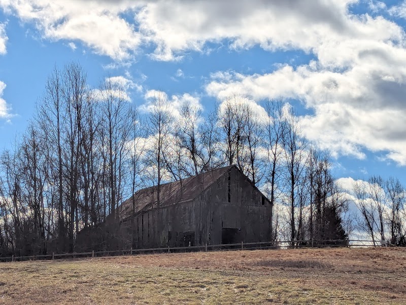 Biking Through Bacon Ridge Natural Area surrounding landscape