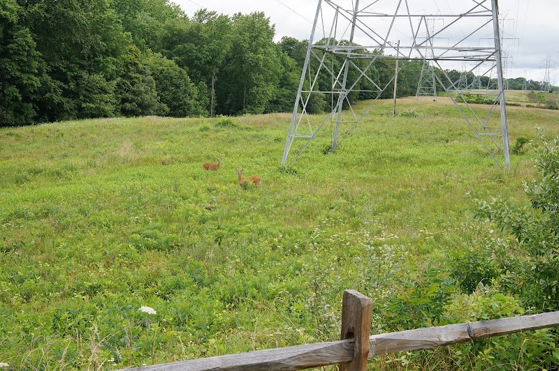 Scenic Biking on the Washington, Baltimore and Annapolis Trail surrounding landscape