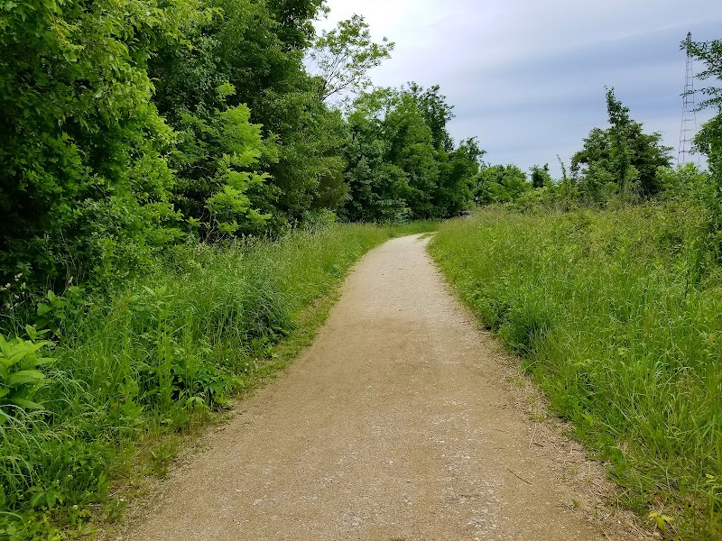 Tranquil Atmosphere at Greenbury Point surrounding landscape