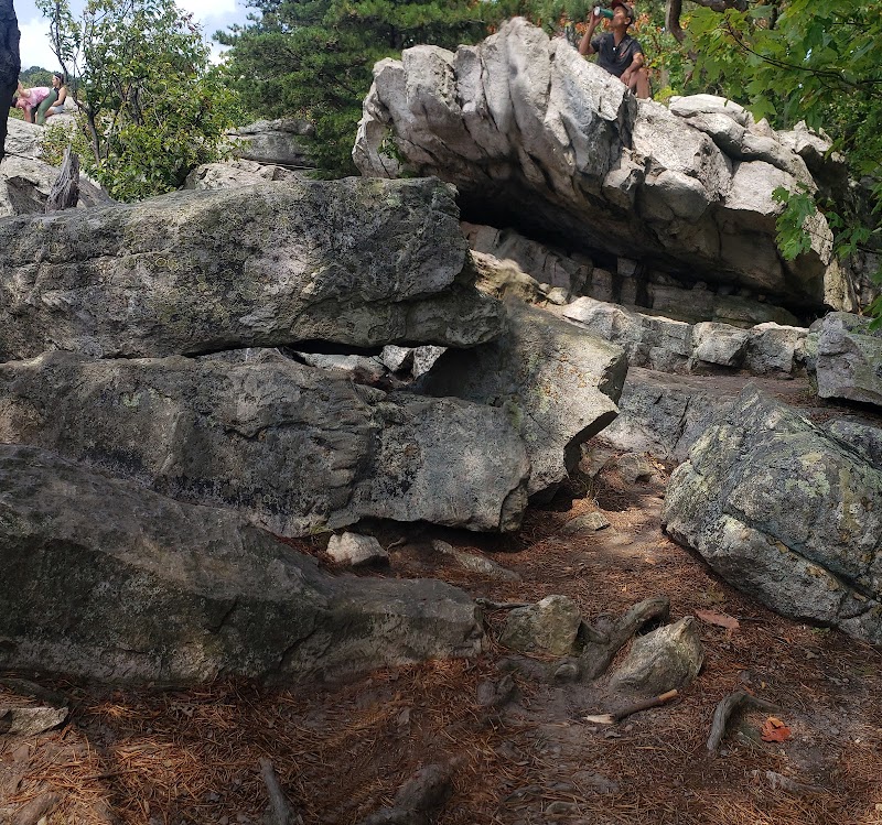 Scenic Majesty at Annapolis Rock Vista surrounding landscape