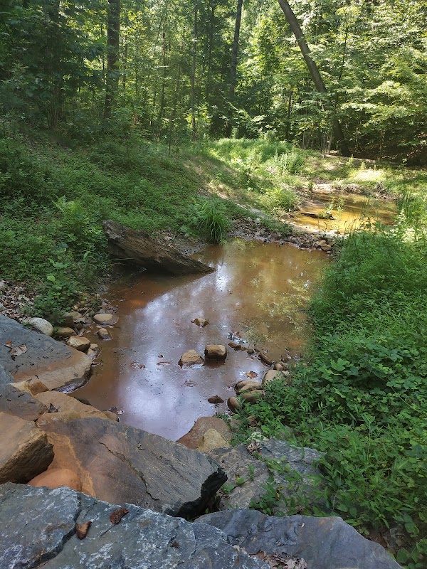 Broad Creek Park: A Hidden Gem in Annapolis surrounding landscape