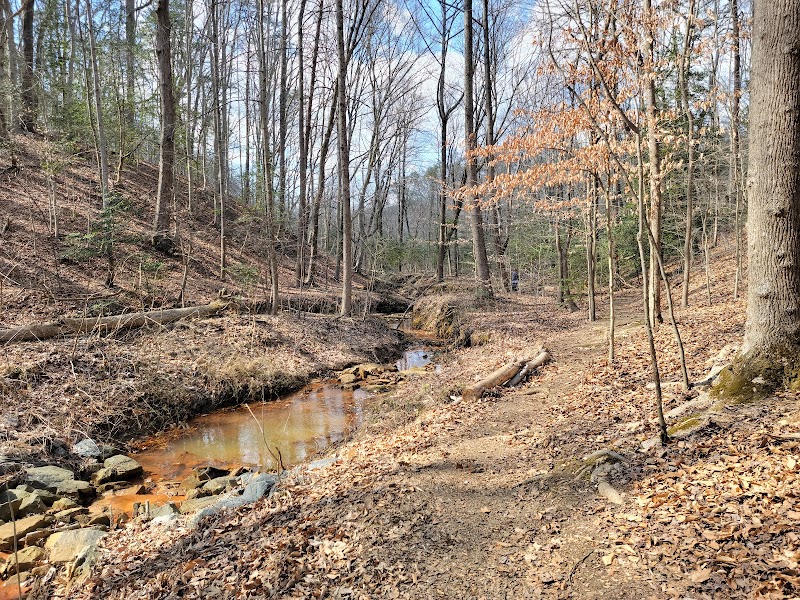 Broad Creek Park: A Hidden Gem in Annapolis - Broad Creek Park