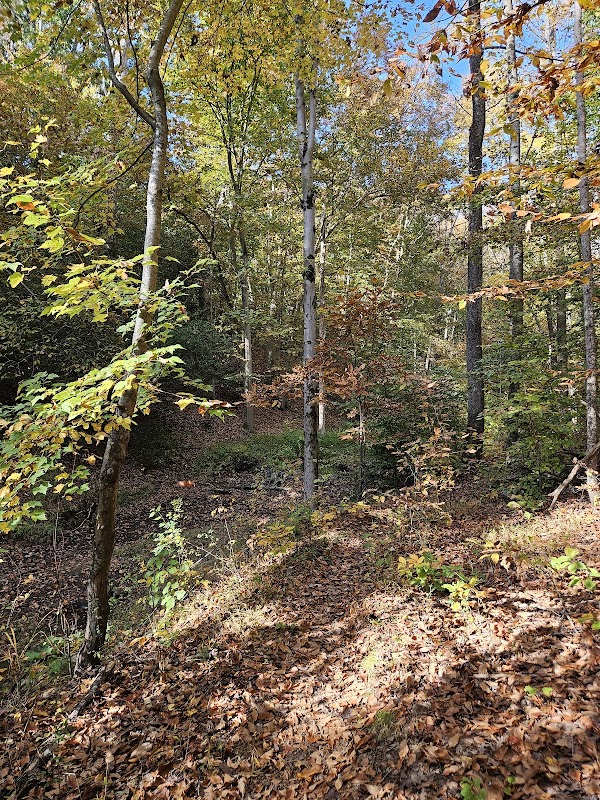 Broad Creek Park: A Hidden Gem in Annapolis - Broad Creek Park