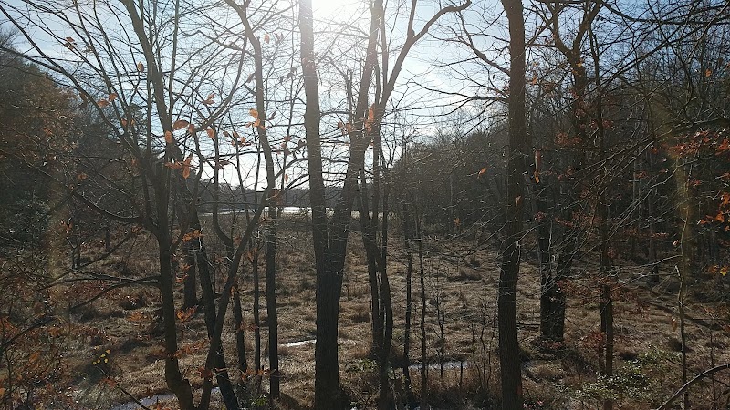 Broad Creek Park: A Hidden Gem in Annapolis outdoor detail