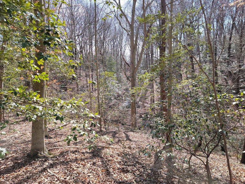 Broad Creek Park: A Hidden Gem in Annapolis - Broad Creek Park