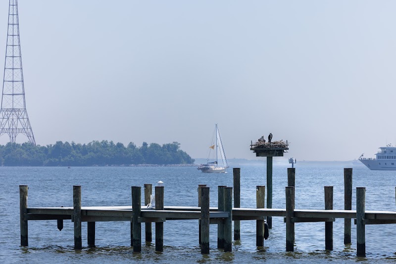 Chesapeake Charm: Discover Horn Point Park outdoor detail