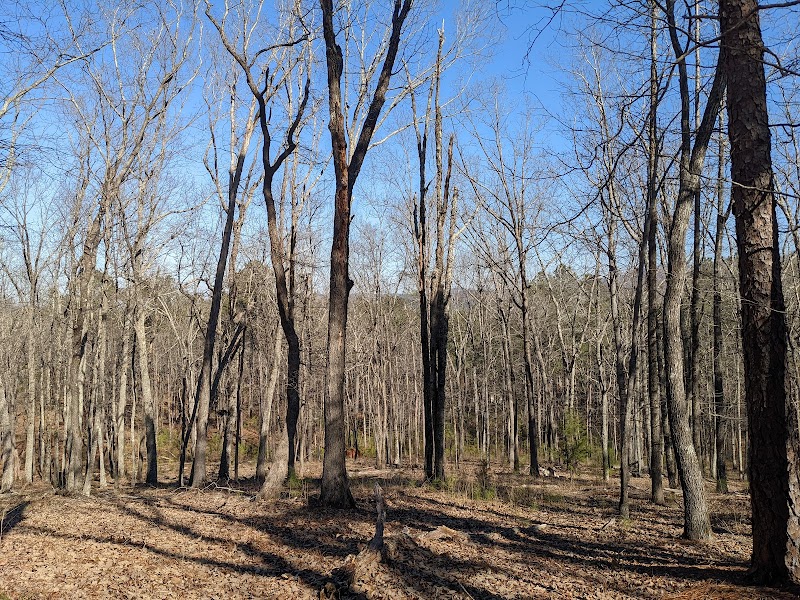Bike Adventure at McClellan Multi-Use Trails - McClellan Multi-Use Trails
