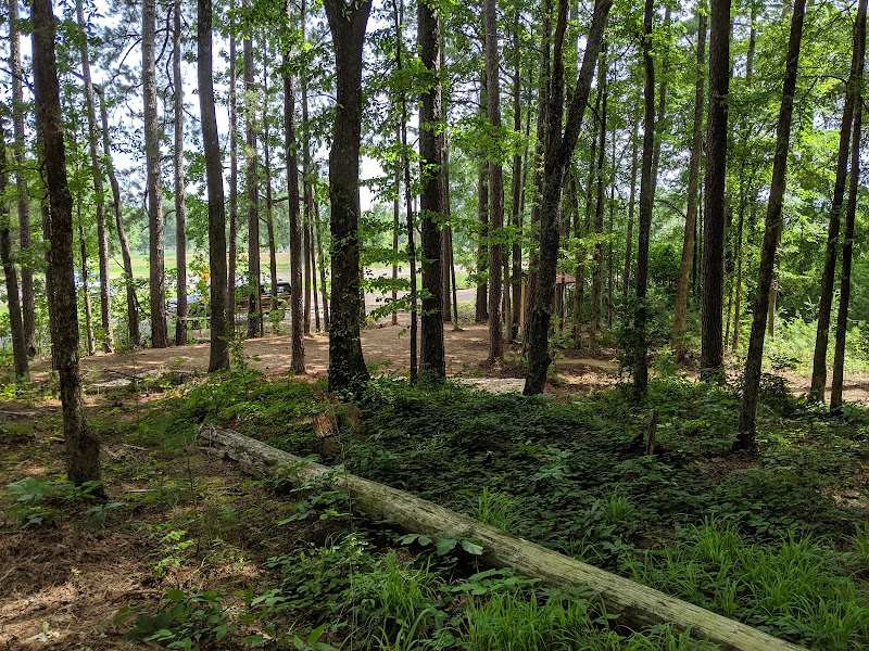 Bike Adventure at McClellan Multi-Use Trails - McClellan Multi-Use Trails