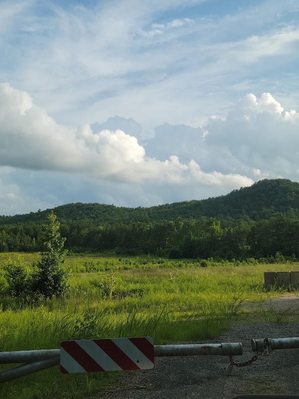 Discover the Serenity of Mountain Longleaf National Wildlife Refuge outdoor detail