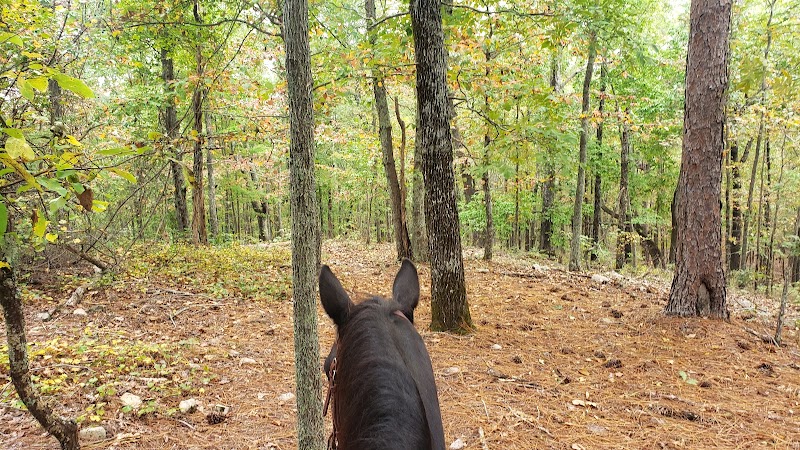 Equestrian Adventures at Camp McClellan Horse Trails - Camp McClellan Horse Trails