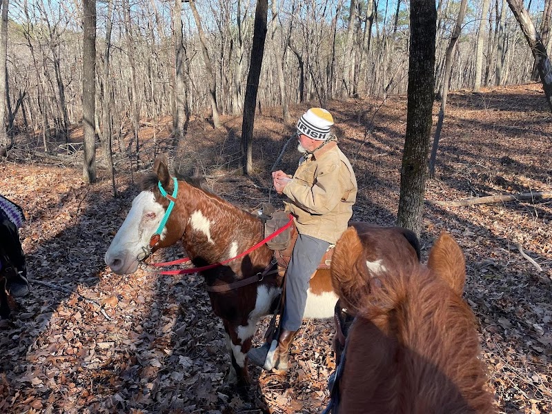 Equestrian Adventures at Camp McClellan Horse Trails surrounding landscape