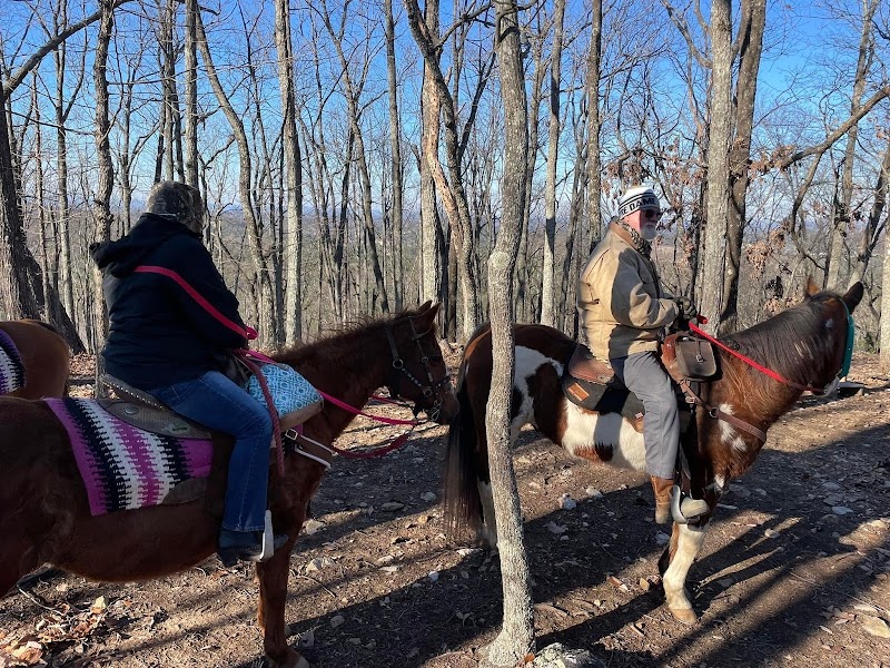 Equestrian Adventures at Camp McClellan Horse Trails - Camp McClellan Horse Trails
