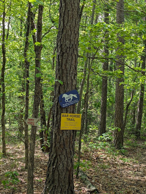 Equestrian Adventures at Camp McClellan Horse Trails outdoor detail