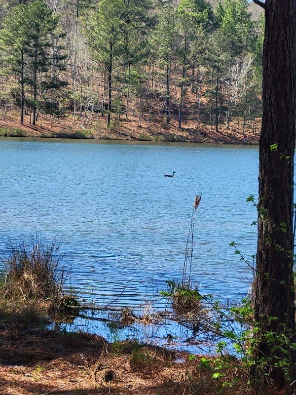 Discover Lake Yahou Park Trail Head surrounding landscape
