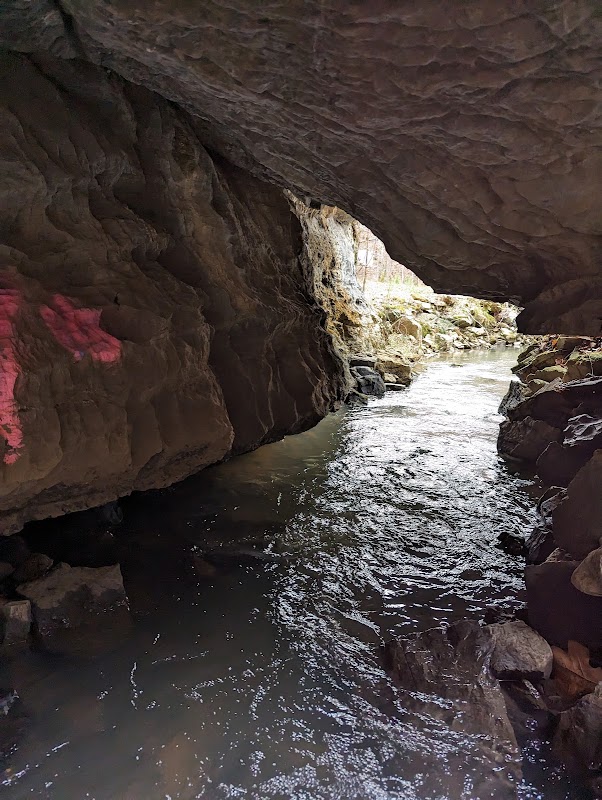 Discover Weaver Cave Preserve: A Natural Wonder outdoor detail