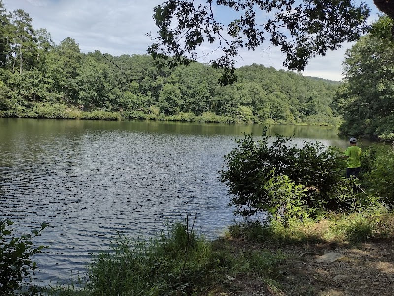 Waterfall Wonders: Morgan Lake, Oxford, Alabama - Morgan Lake Waterfalls
